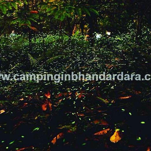 Hotel Samadhan Bhandardara Exterior foto